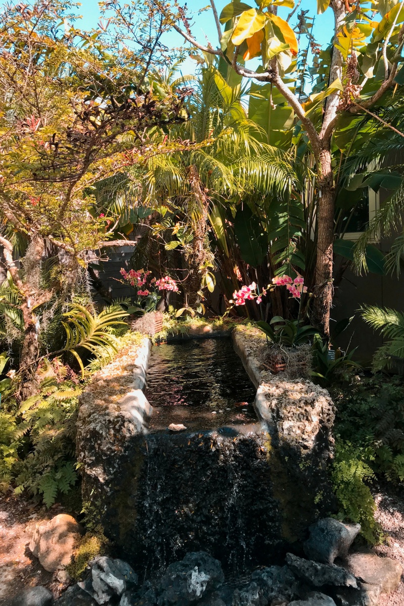 Jardín Botánico de Naples Florida