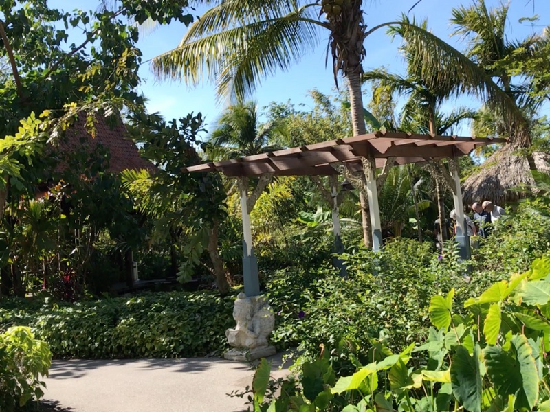 Hermoso lugar en Jardín Botánico de Naples Florida